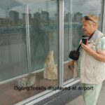 2013.13 - Ogling fossils displayed at airport in Mongolia