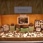 EX 2014 (circa)- Exhibition of fossil collection at the Tampa Fossil Fair, Florida