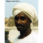 PH - camel driver, Egypt