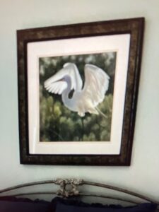 paula egret pic.jpg